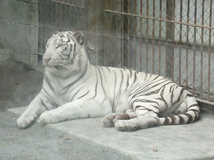 東武動物公園: もぞもぞちーむ